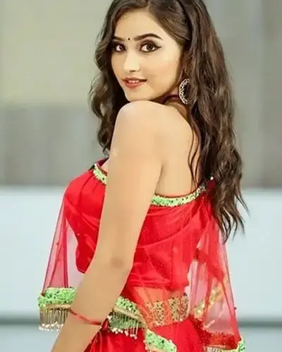 Escort In Bhadesar